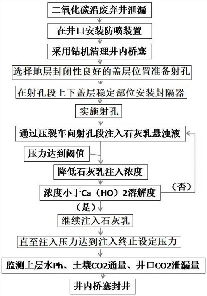 Method for blocking leakage along abandoned well in geological storage process of carbon dioxide