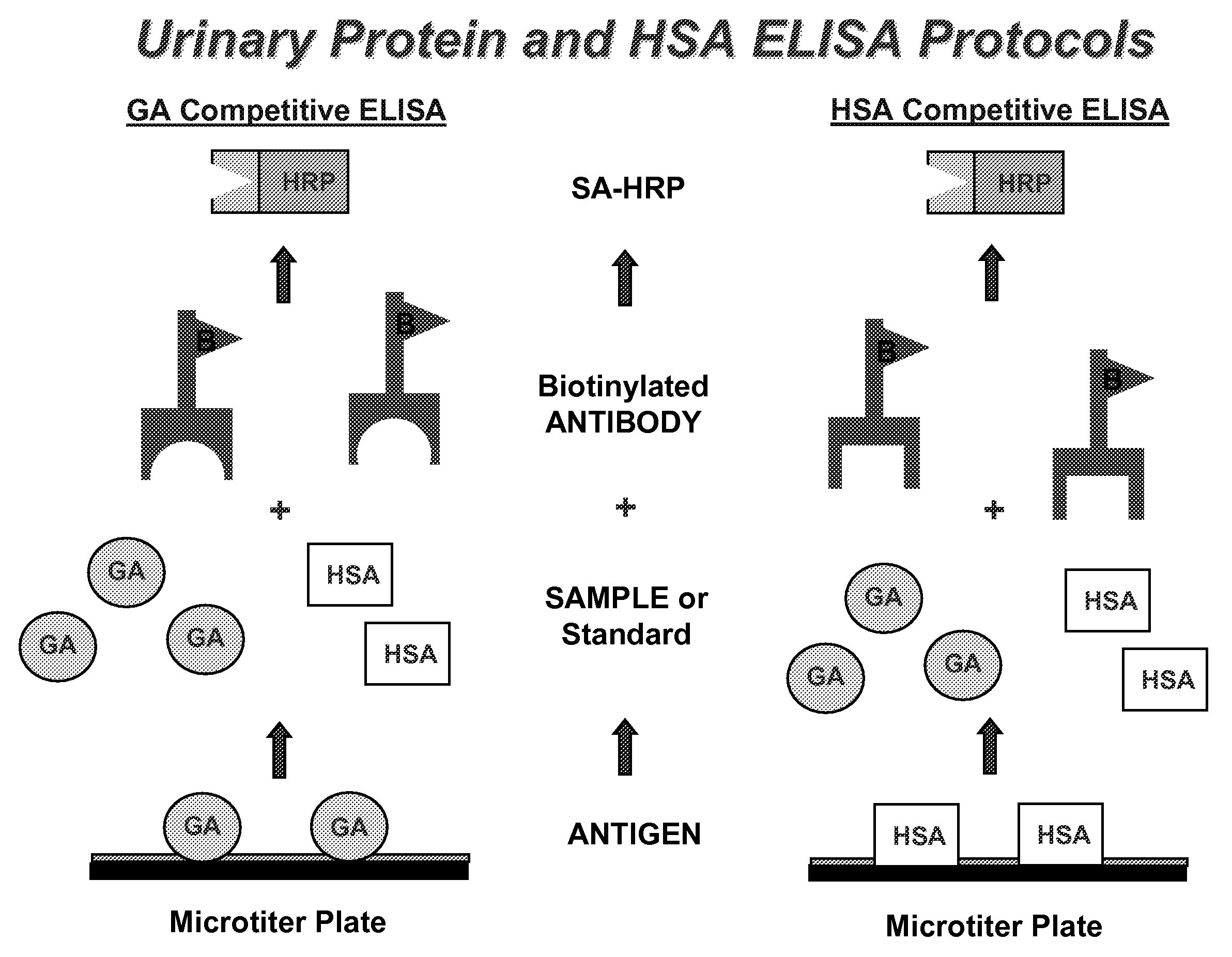 Methods for Early Diagnosis of Kidney Disease