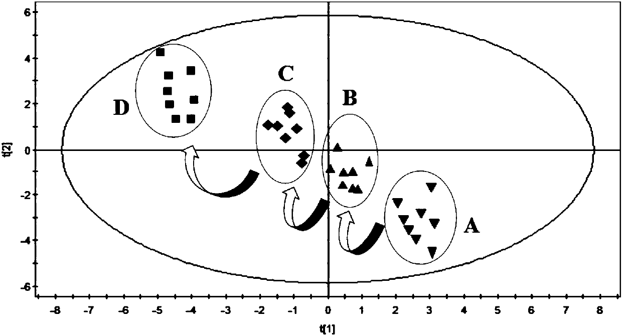 Evaluation method for rat model with glomerulosclerosis