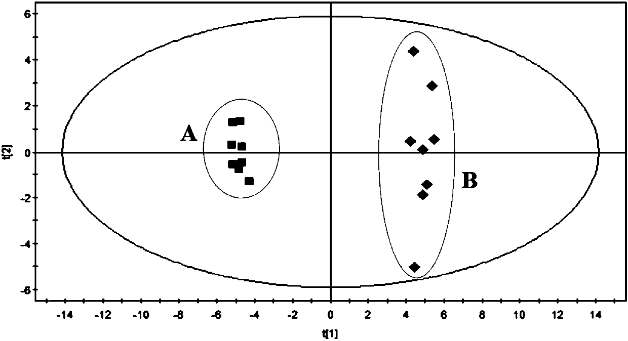 Evaluation method for rat model with glomerulosclerosis