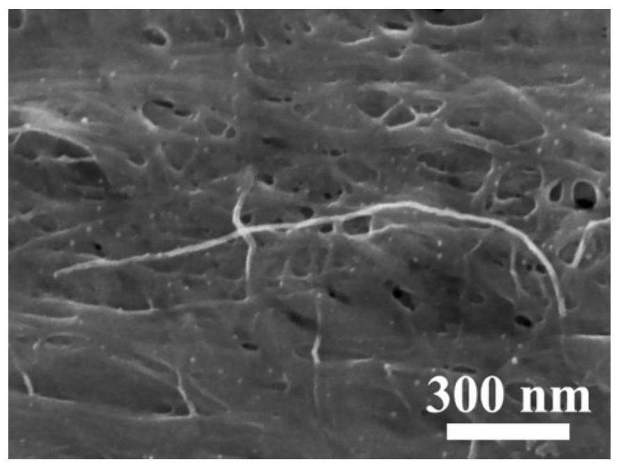 Preparation method of bacterial cellulose-based carbon aerogel