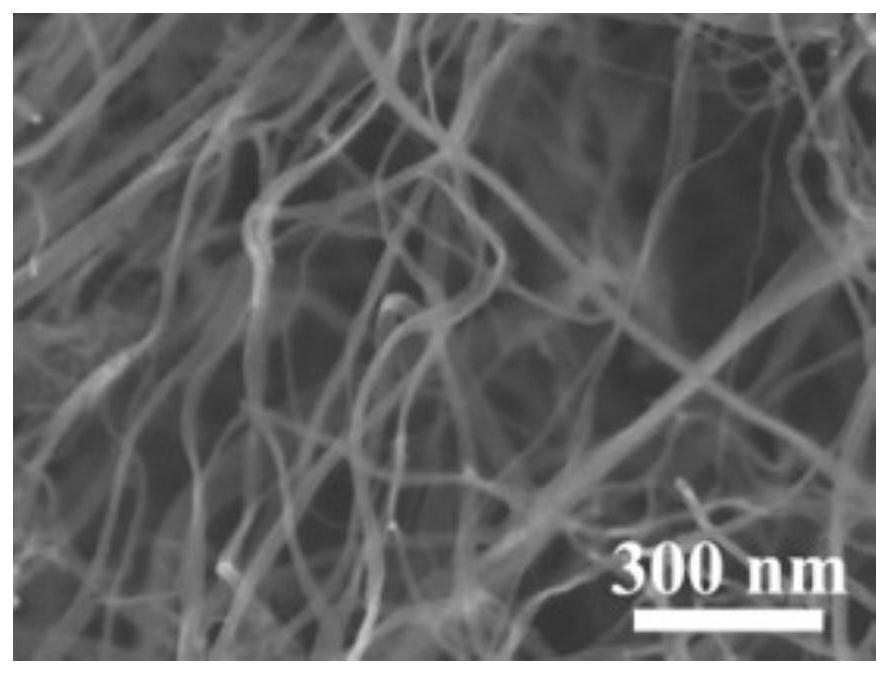 Preparation method of bacterial cellulose-based carbon aerogel