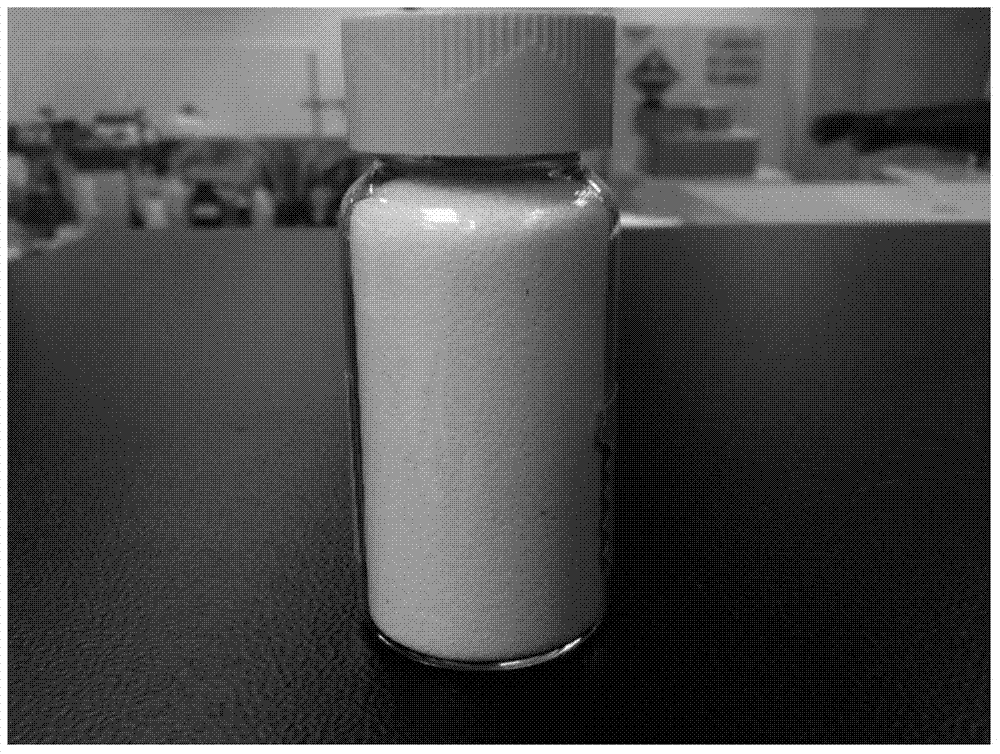 Oil-water separation granule and preparation method thereof