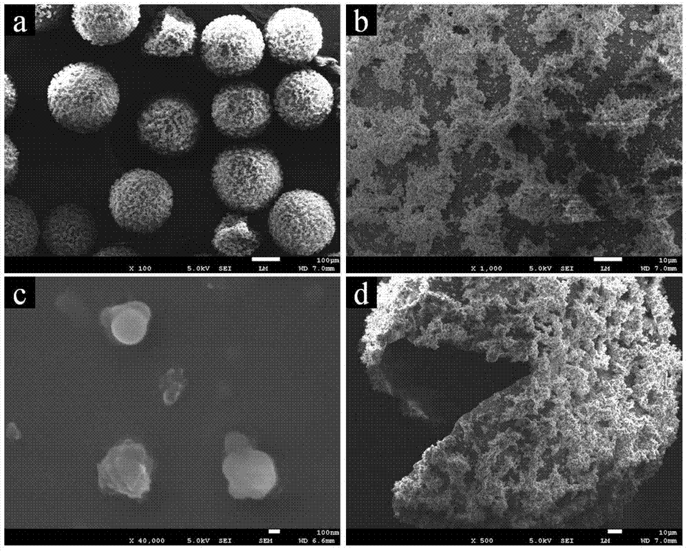 Oil-water separation granule and preparation method thereof