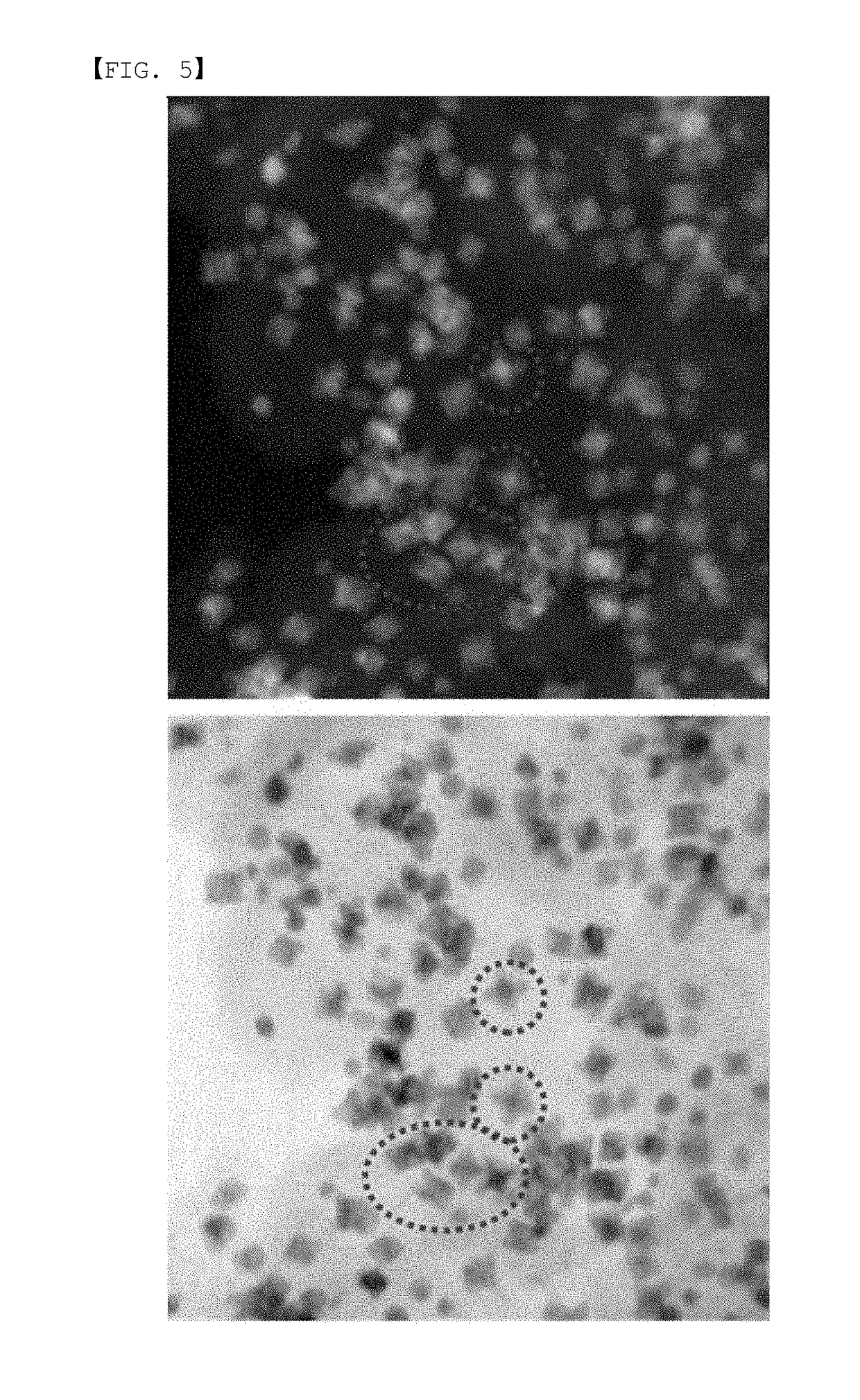 Catalyst and method for preparing the same