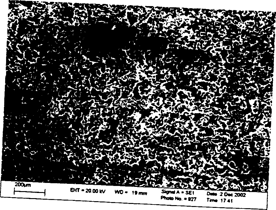 Method for synthesizing NiTi shape memory alloy porous material