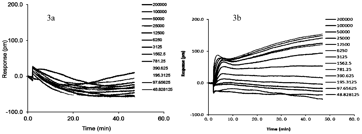 Compound, muscarinic m receptor antagonist, composition and application