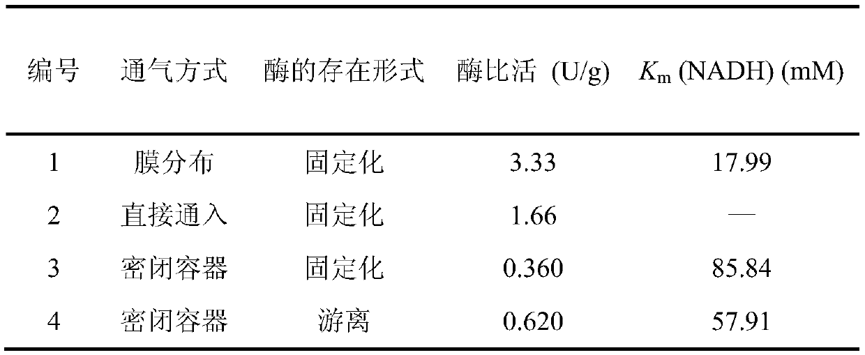 Hollow fibrous membrane reactor integrating gas distribution and enzyme catalysis and application of hollow fibrous membrane reactor