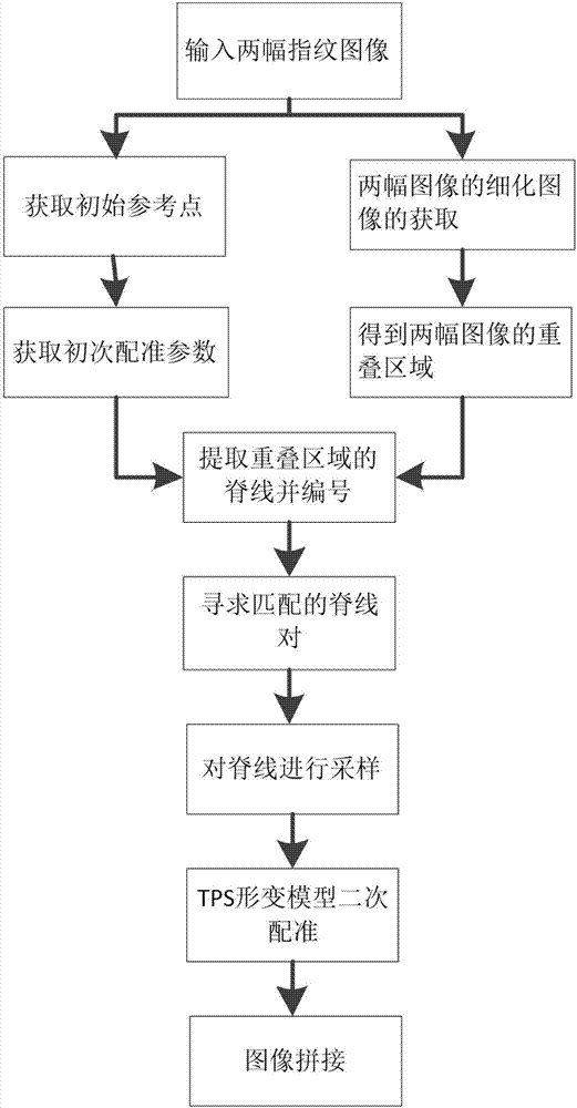 Fingerprint image splicing method based on regression line characteristic and TPS deformation model