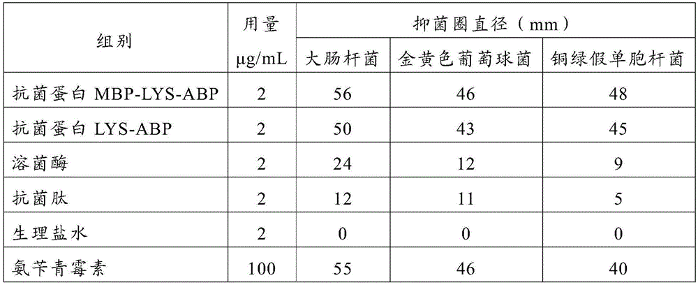 an antibacterial protein