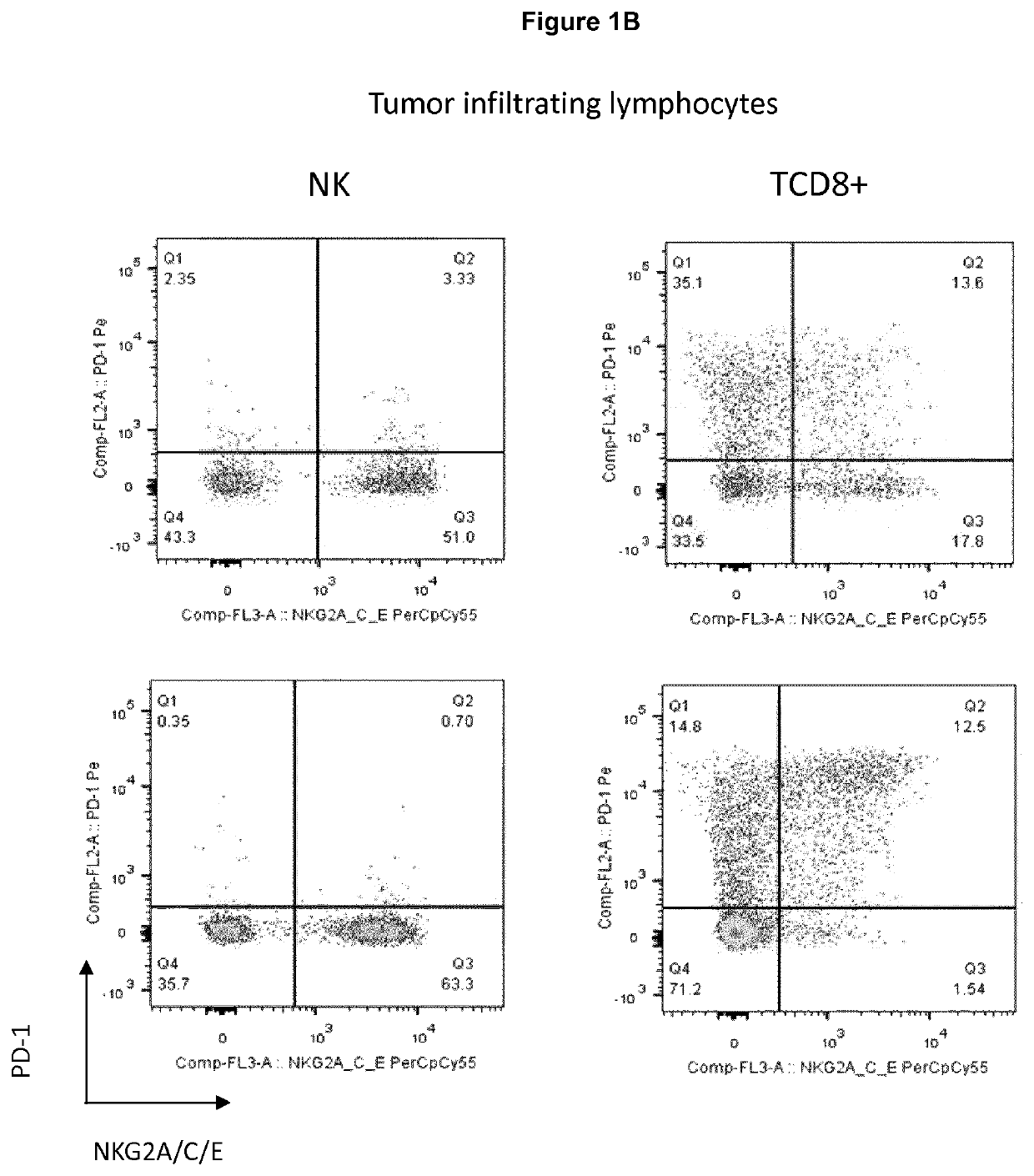 Neutralization of inhibitory pathways in lymphocytes