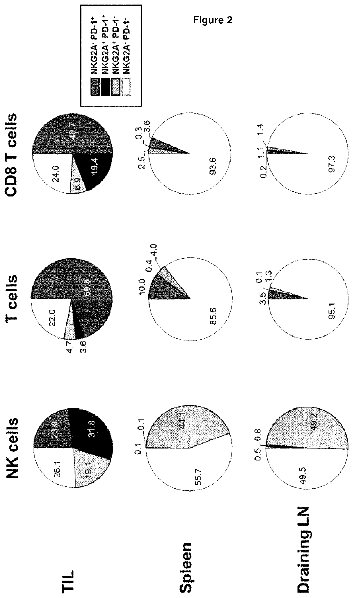 Neutralization of inhibitory pathways in lymphocytes