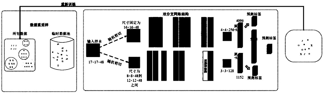 Hyperspectral classification method based on double-branch network