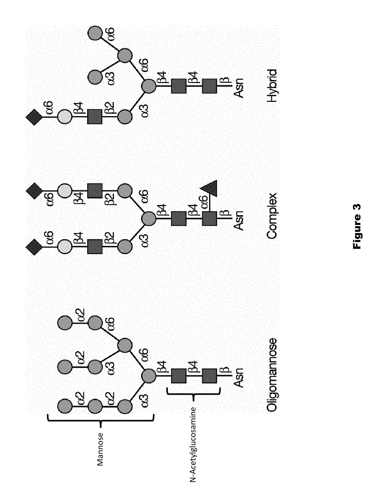 Dephosphorylated lysosomal storage disease proteins and methods of use thereof