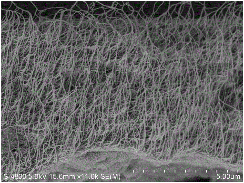 Ionic polymer metal composites (IPMC) electrochemistry driver, preparation method and application thereof