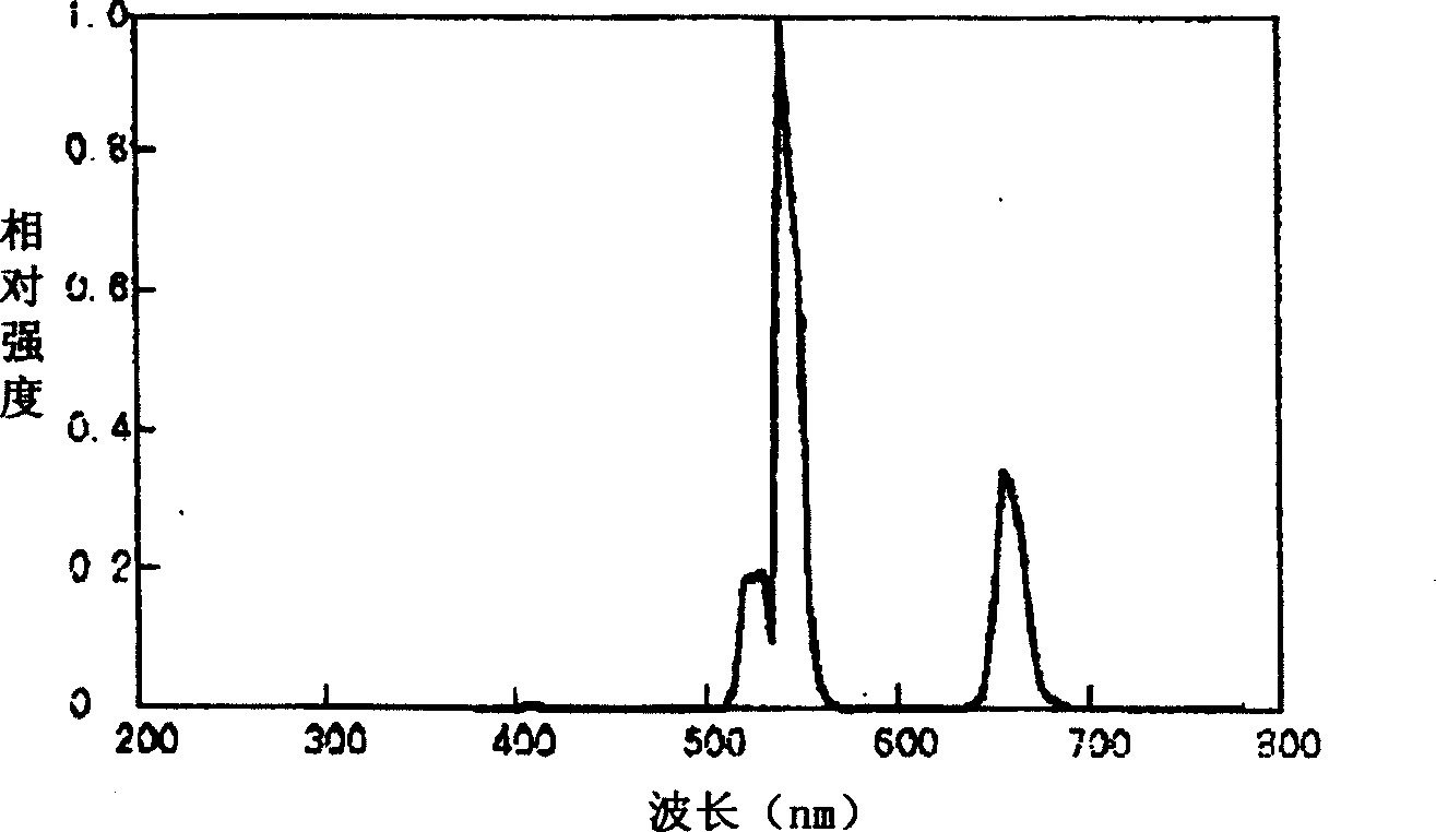 Scanning type up-converting phosphor particle distribution state detector