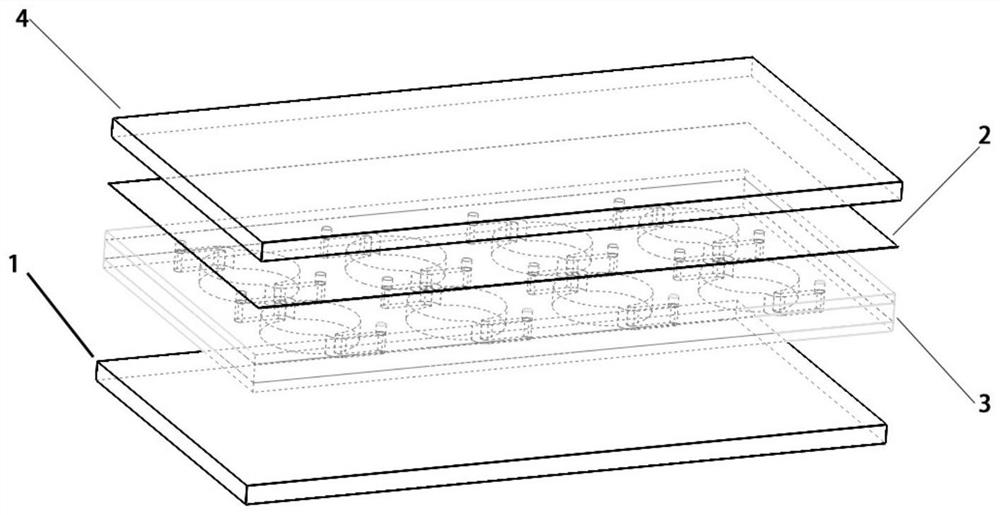 Biological culture micro-fluidic chip suitable for microgravity gyroscope assembly and cell culture method thereof