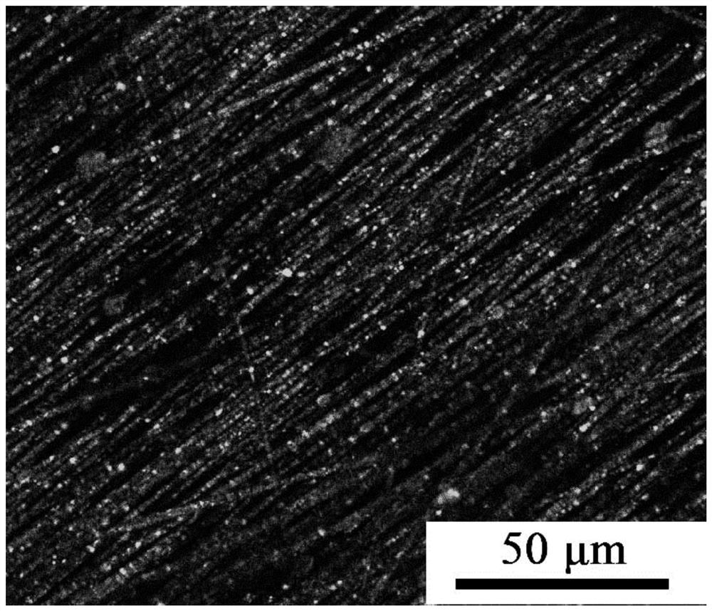 A multi-channel conductive nerve repair catheter with fluorescent properties and its preparation method