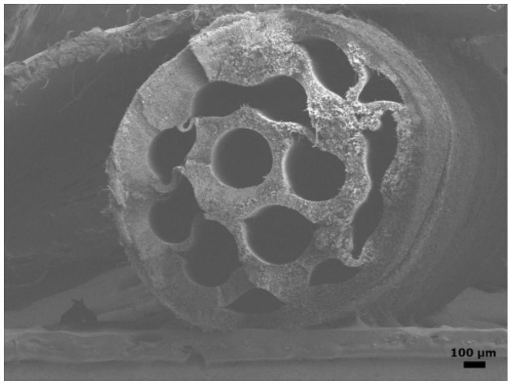 A multi-channel conductive nerve repair catheter with fluorescent properties and its preparation method