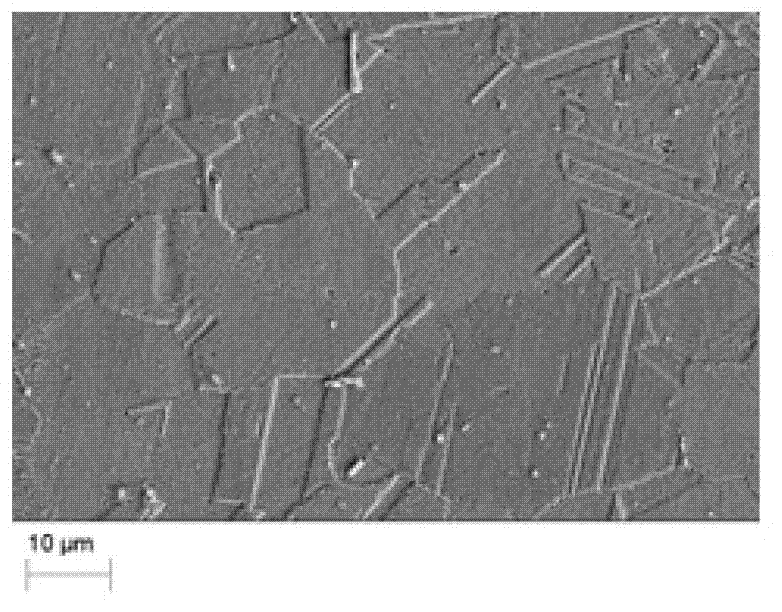 Nonlinear ultrasound system used for detecting super austenitic stainless steel inter-granular corrosion