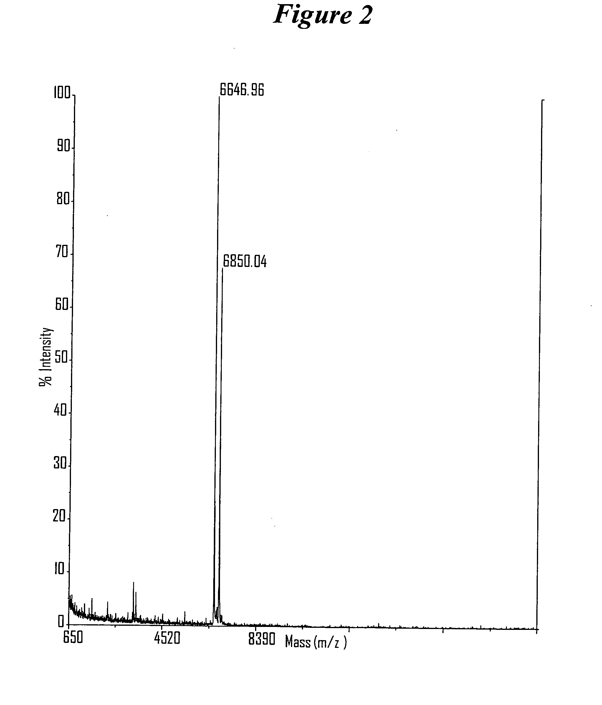 RNA interference mediated inhibition of respiratory syncytial virus (RSV) expression using short interfering nucleic acid (siNA)