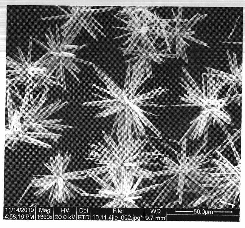 Method for preparing micro structural zinc oxide by hydrothermal method