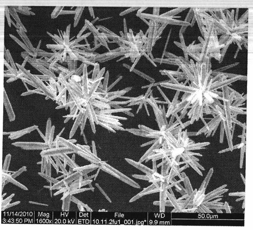 Method for preparing micro structural zinc oxide by hydrothermal method