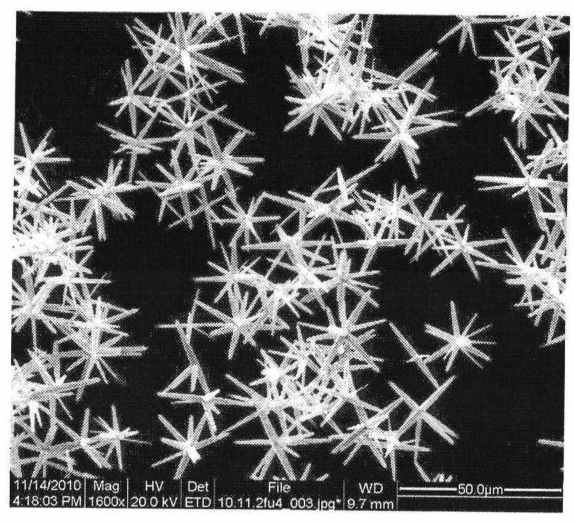 Method for preparing micro structural zinc oxide by hydrothermal method