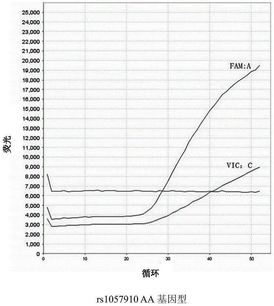 Kit and method for determining genotype of predetermined SNP (single nucleotide polymorphisms) locus of DNA (deoxyribonucleic acid) sample to be detected