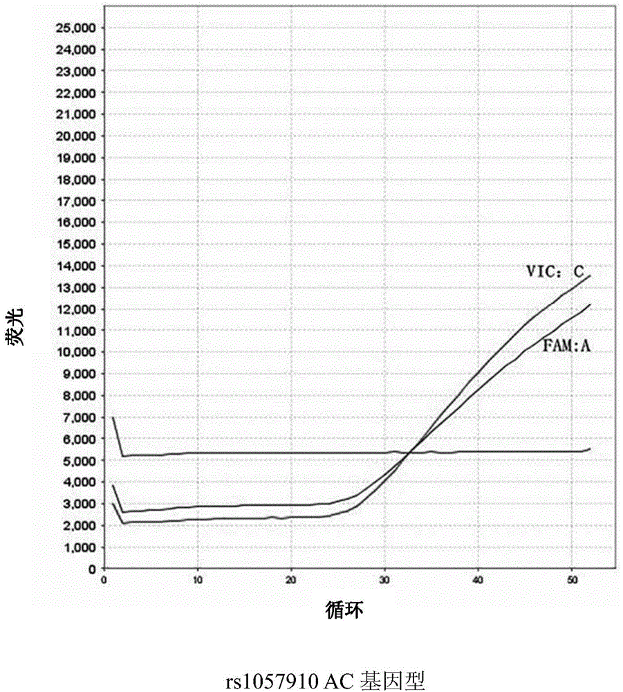 Kit and method for determining genotype of predetermined SNP (single nucleotide polymorphisms) locus of DNA (deoxyribonucleic acid) sample to be detected