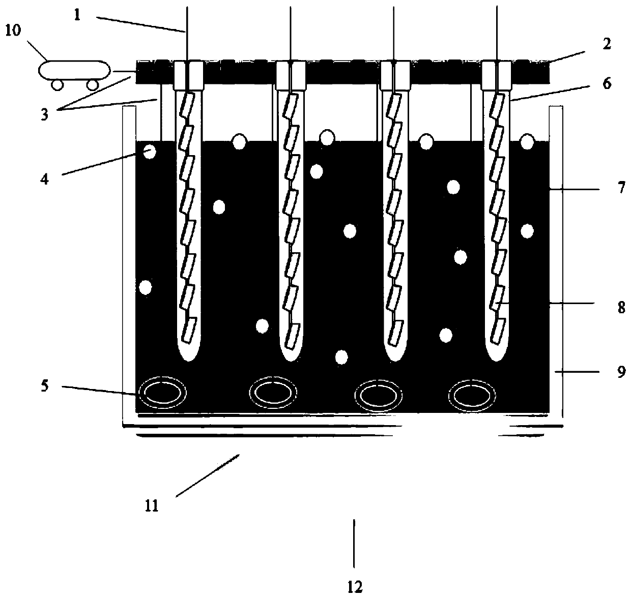 Facultative microalgae photobioreactor sewage purification system and method