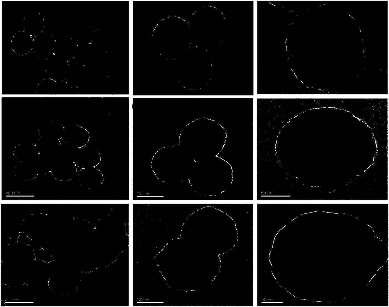 Polydopamine-covered magnetic mesoporous silica nano-material as well as preparation and application thereof