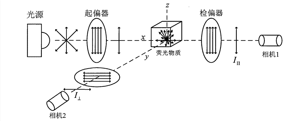 Dual-channel and single light path structure fluorescent anisotropy microscopic imaging device and method