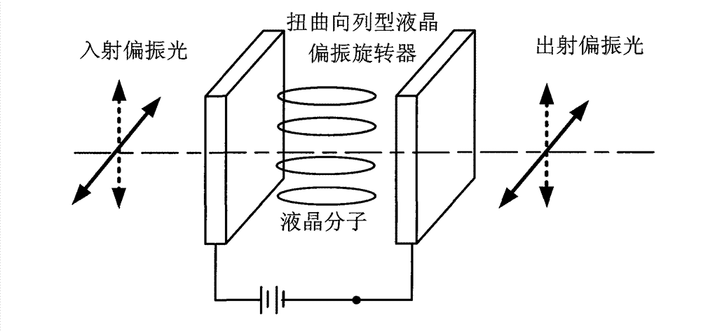 Dual-channel and single light path structure fluorescent anisotropy microscopic imaging device and method