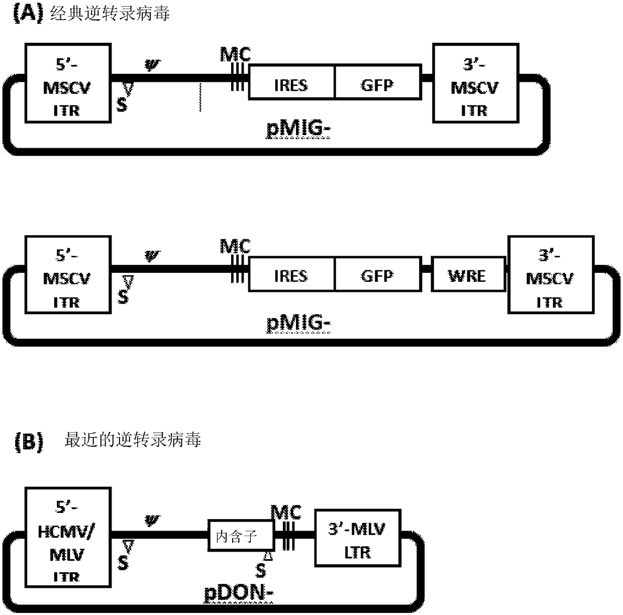 Compositions and libraries comprising recombinant t-cell receptors and methods of using recombinant t-cell receptors