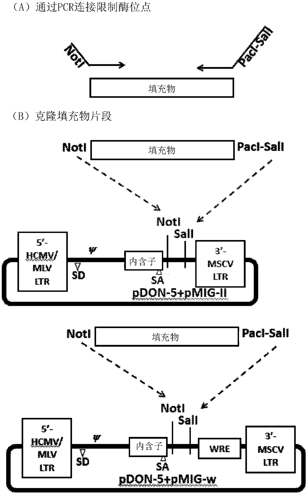 Compositions and libraries comprising recombinant t-cell receptors and methods of using recombinant t-cell receptors