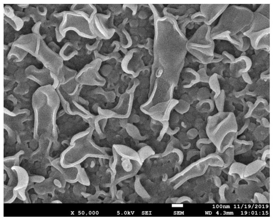 Preparation method of anti-pollution polyamide reverse osmosis membrane