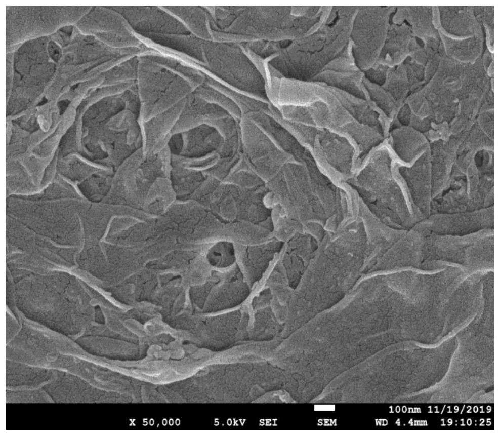 Preparation method of anti-pollution polyamide reverse osmosis membrane