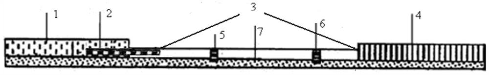 A time-resolved fluorescent immunochromatographic test strip for detecting safrole and its preparation method and application