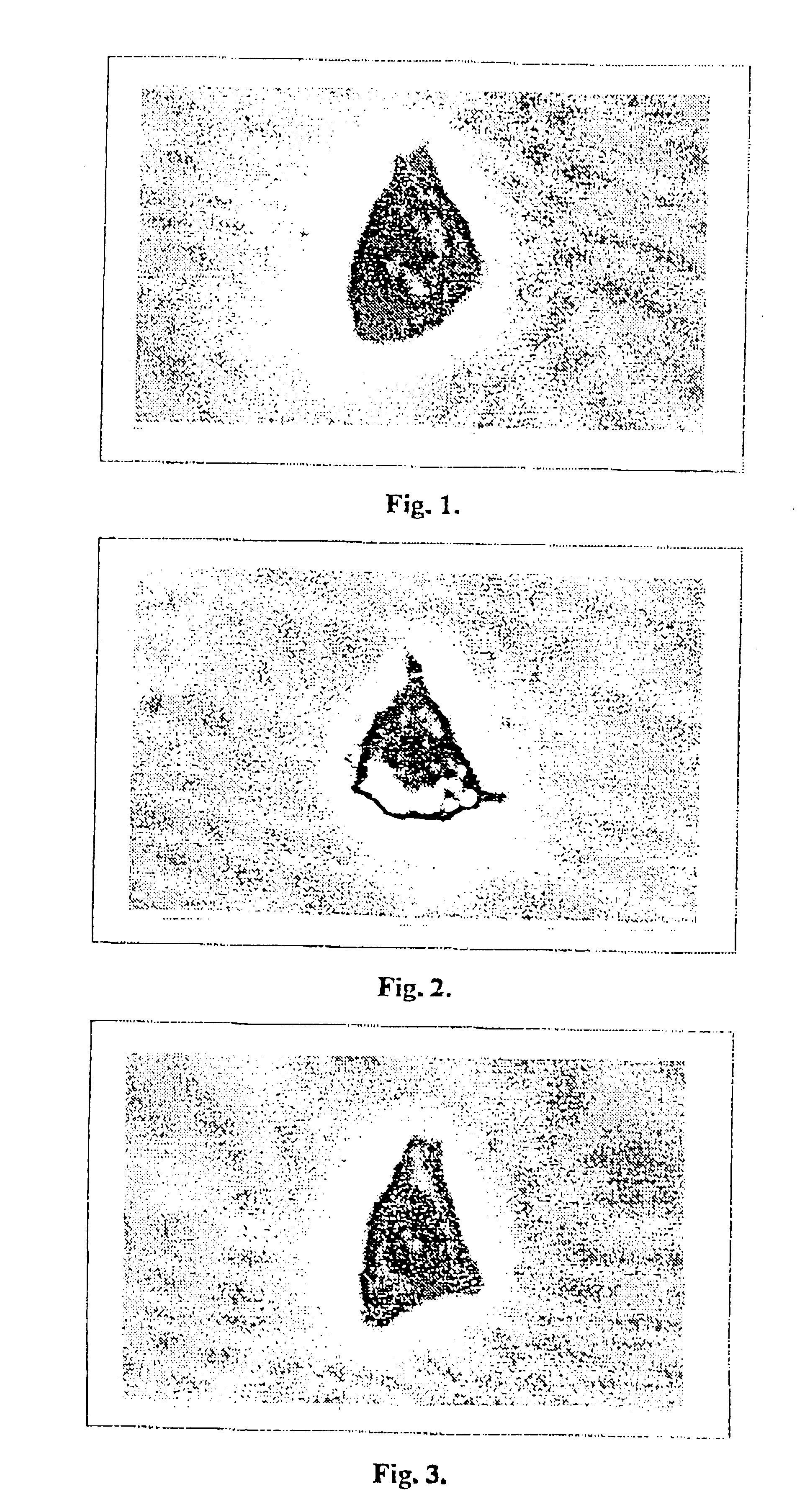 Anti-stress, anti-impairment and anti-aging drug and process for manufacturing thereof