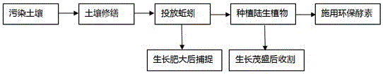 Ecological remediation method for heavy metal contaminated soil