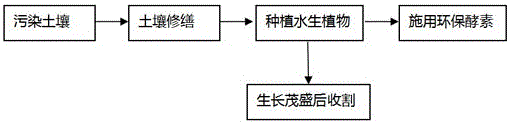 Ecological remediation method for heavy metal contaminated soil