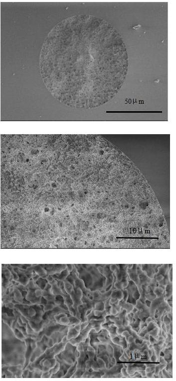 A nucleic acid aptamer affinity monolithic column specifically recognizing F2 toxin and its preparation method