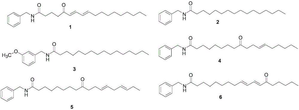 Method for extracting and purifying macamide monomer compound from maca