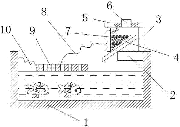 Fishpond device with automatic feeding function