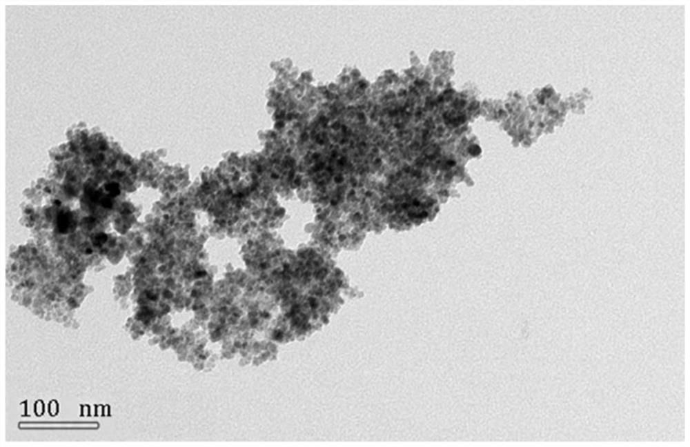 A tetracycline hollow double imprinted layer magnetic nanosphere and its preparation method and application