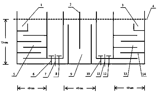 Method and device for preparing strontium carbonate crystals through self-diffusion at room temperature