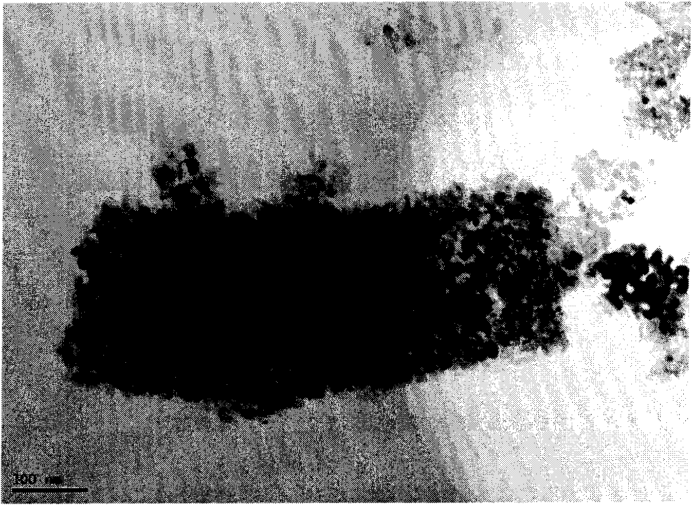 Bulk phase catalyst and preparation method thereof