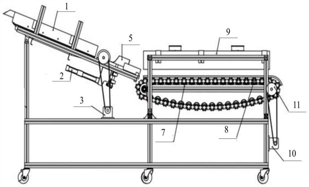 Gas-roller conveying-type catalytic infrared heating peeling method for tomatoes