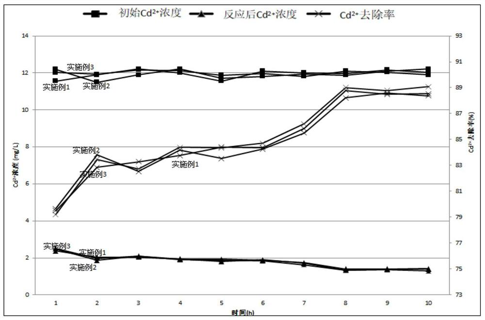 Method and reactor for synchronously removing heavy metals and nitrates in mine wastewater